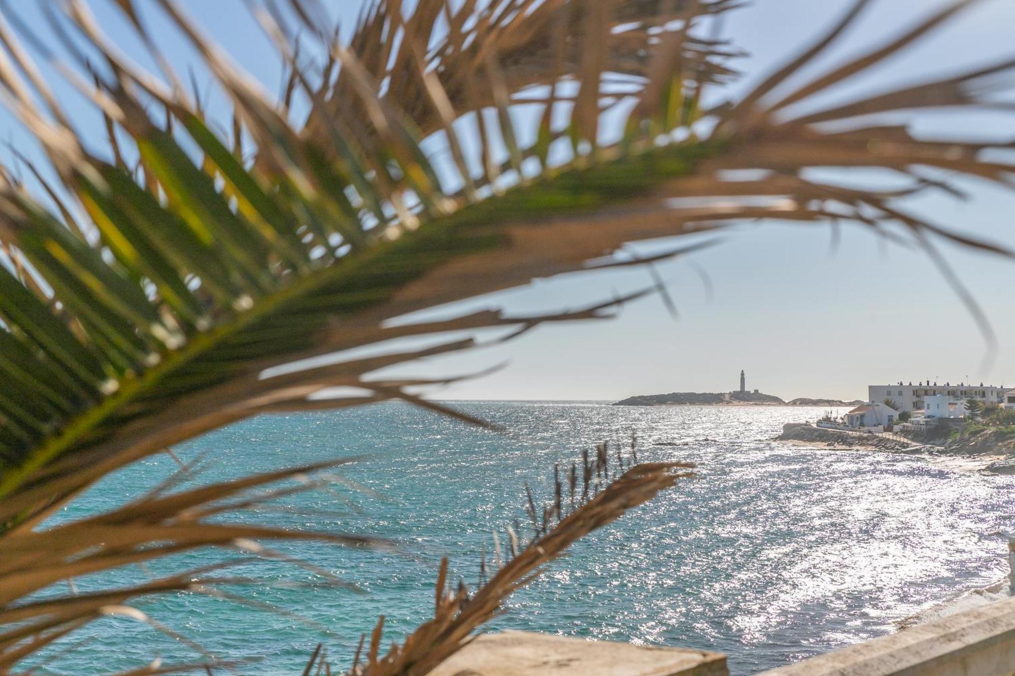 Adosado Nuevo Con Piscina, Playa, Garaje Y Jardin Los Canos De Meca Εξωτερικό φωτογραφία
